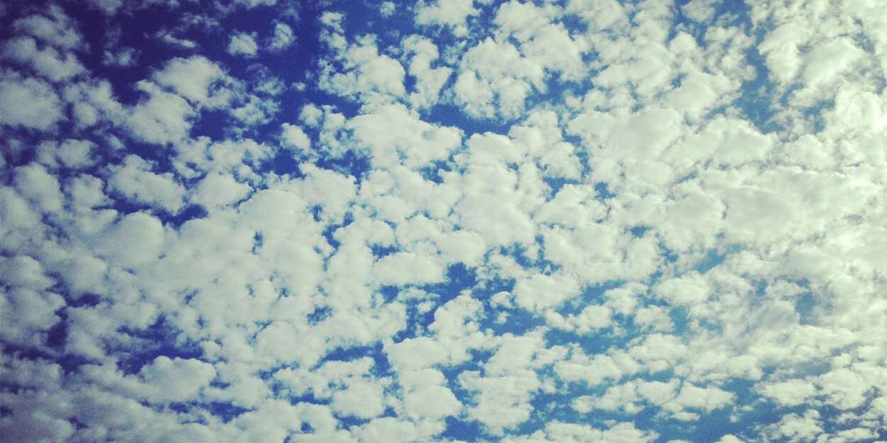 sarahdossy's profile banner image