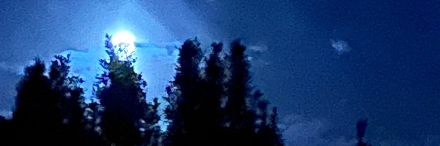 Stacy Fleshner banner