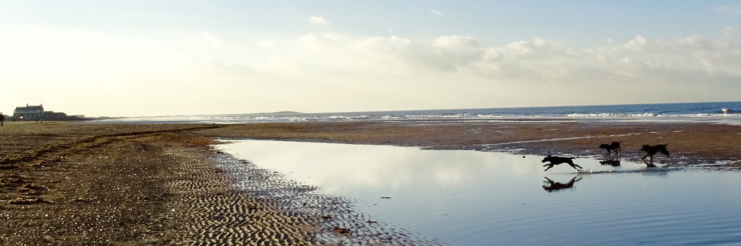 Lark Cottage, Titchwell, North Norfolk banner
