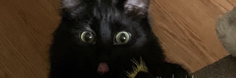 allyysondo's profile banner image