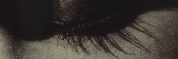 shesaidred Profile Banner