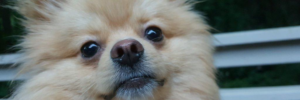 Haleyamberr's profile banner image