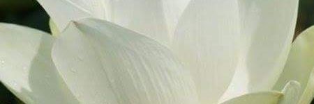 Kymberleighe's profile banner image