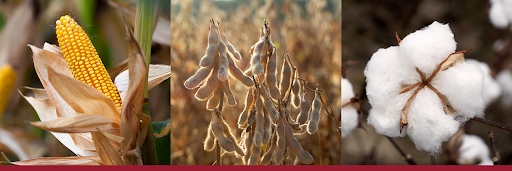 Bayer Traits & Systems's banner