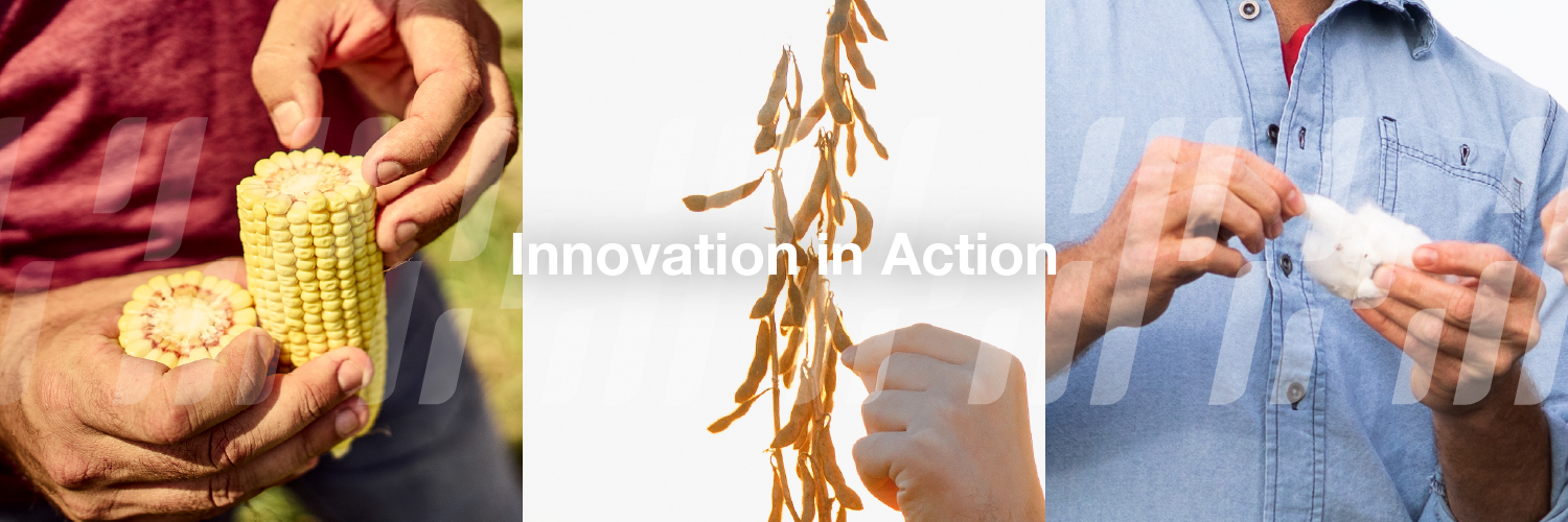 BayerTraits's profile banner image