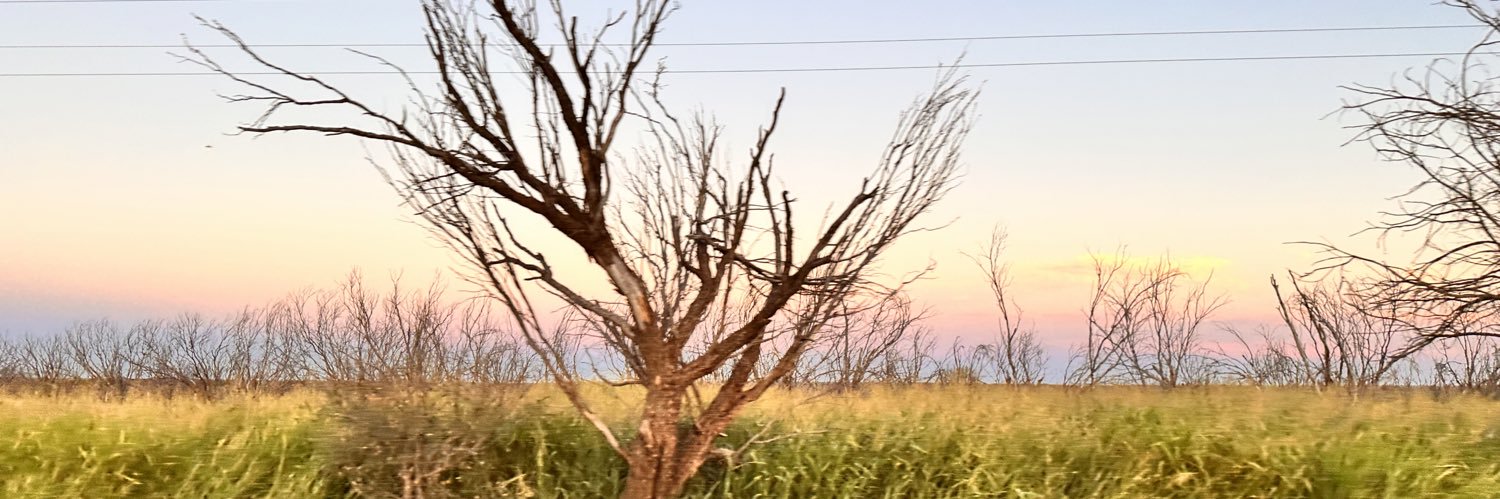 SandyAnimas's profile banner image