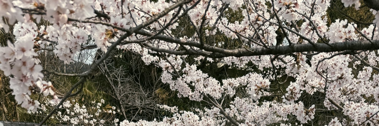ptrpdy's profile banner image