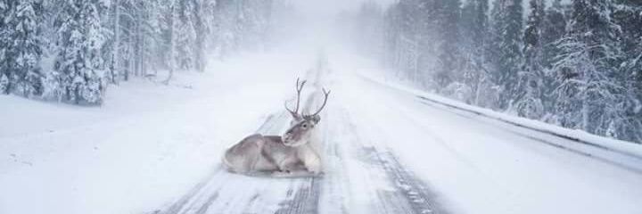 Куба Либре под водочкой banner