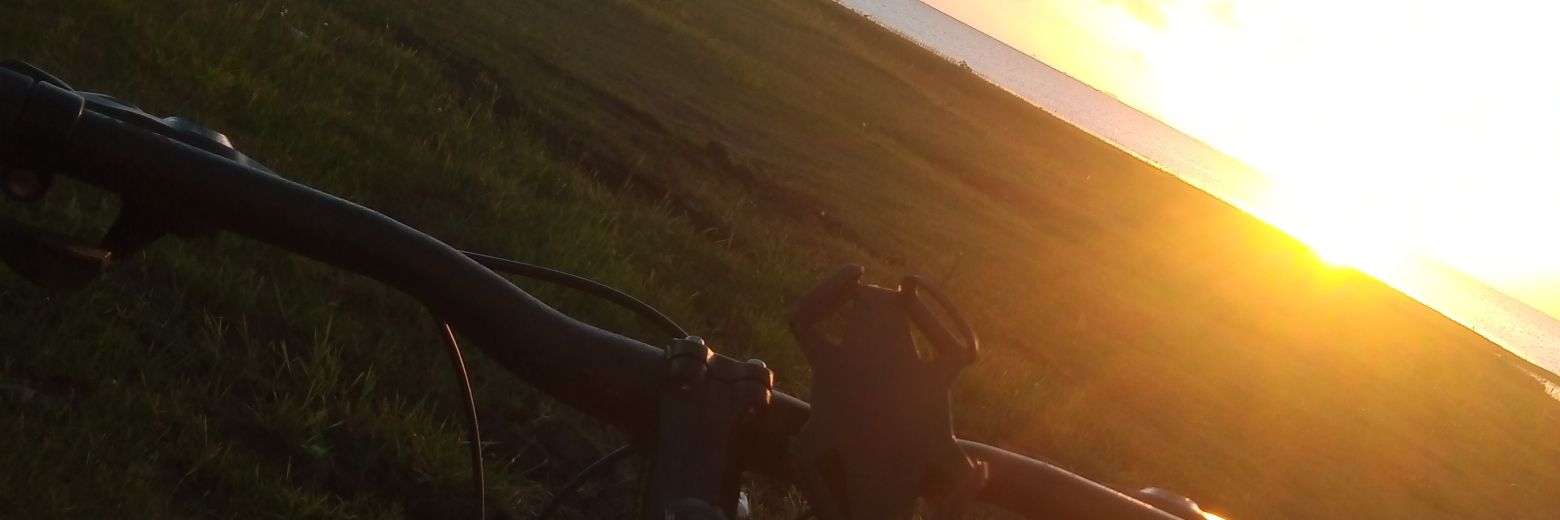 ReeiPele's profile banner image