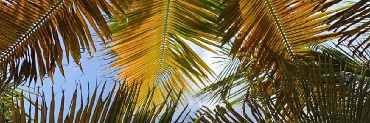 aboutkadi's profile banner image
