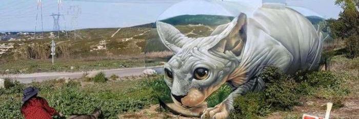 kapocala's profile banner image