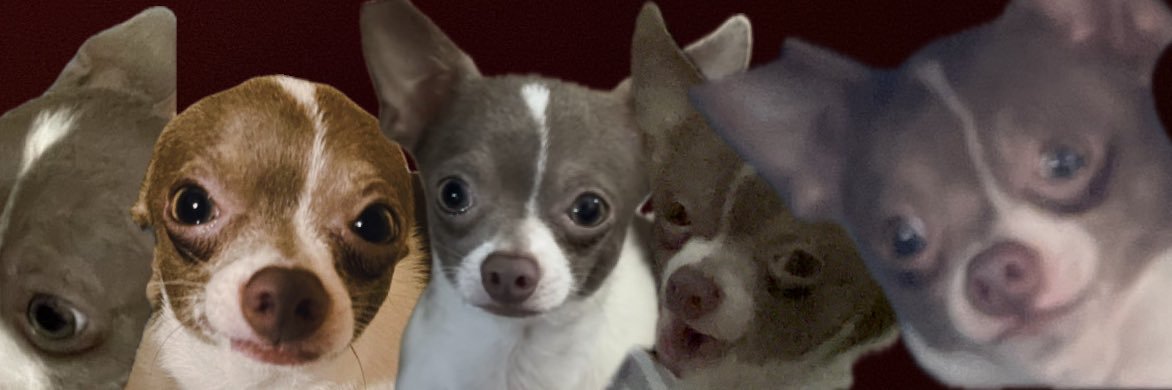 casssth's profile banner image