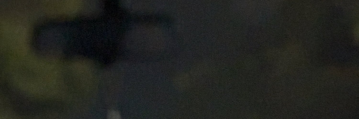 eunicedayan2's profile banner image