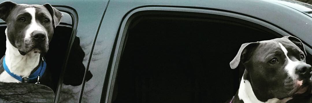 shoffman33's profile banner image