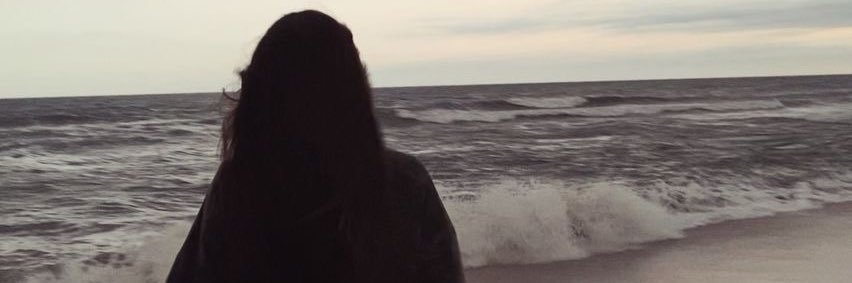 florzuppone's profile banner image