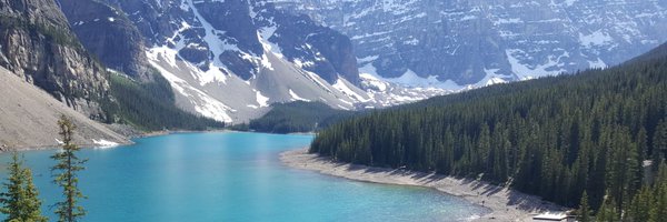 Drjvmd Profile Banner