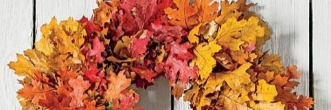 DearestAbbyB's profile banner image