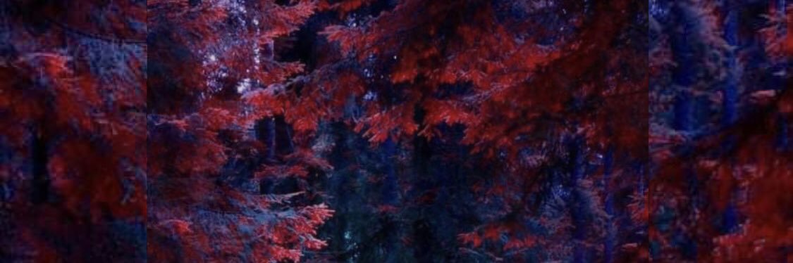 AzamiRa_'s profile banner image