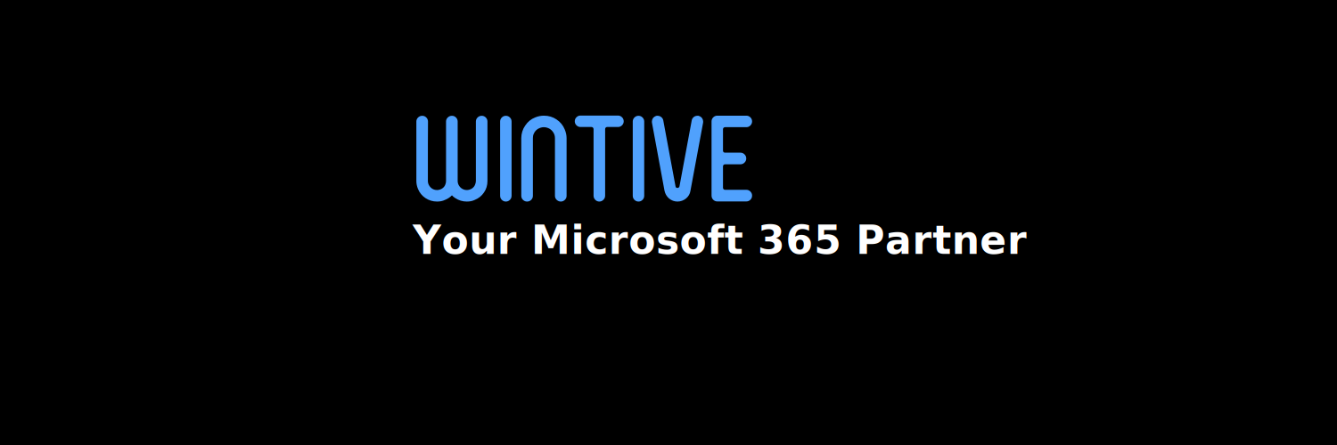 wintive's profile banner image
