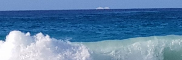 ALM970 Profile Banner