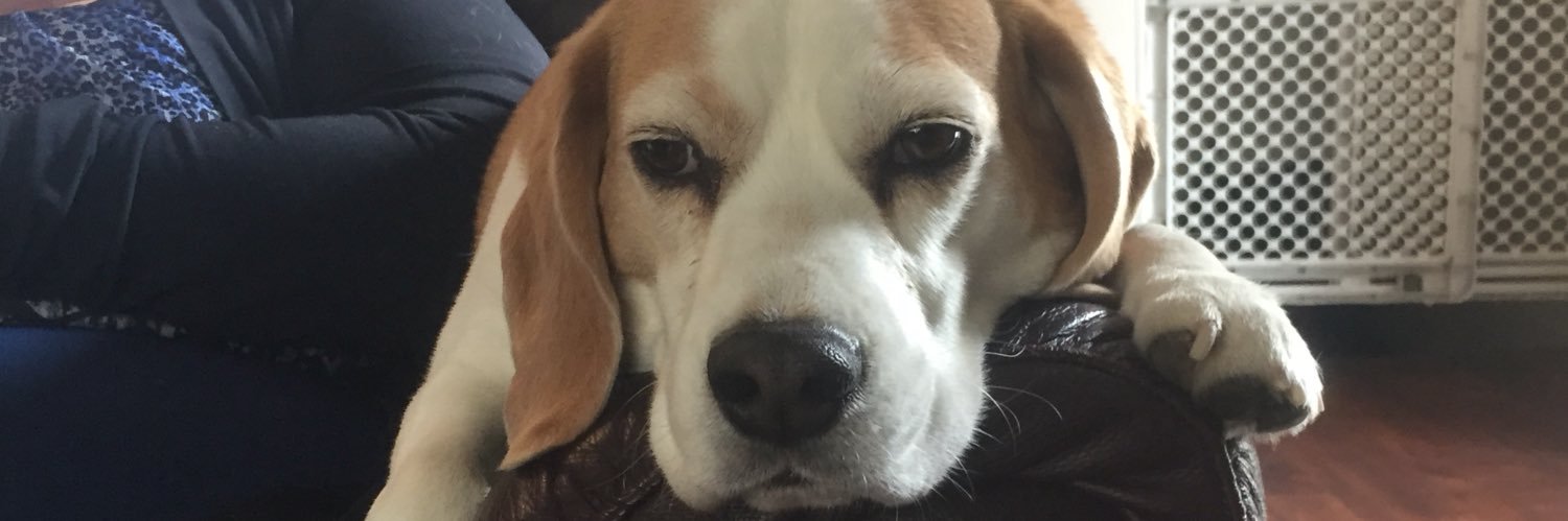 FaithoT15's profile banner image