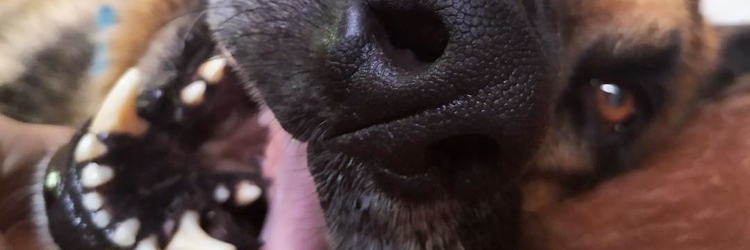 mrcantonio19's profile banner image