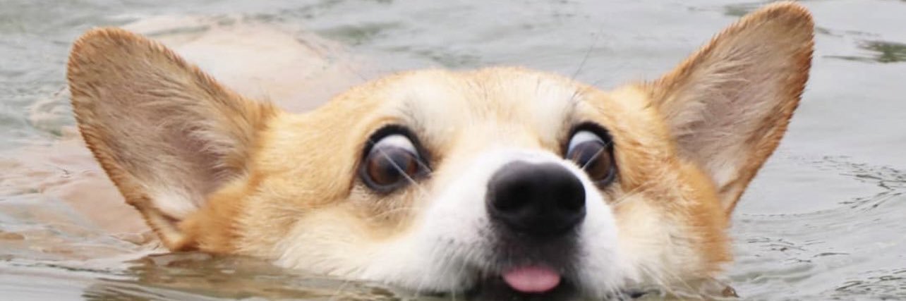 keodaniel97's profile banner image