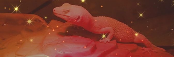hive_god's profile banner image