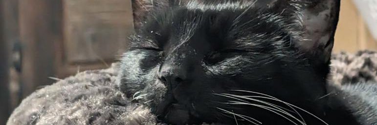 JoePFerguson's profile banner image