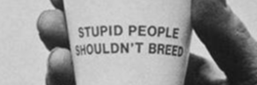 Julia Grigoletti banner