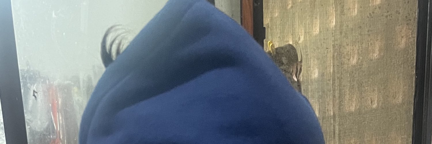 cornudoabcd's profile banner image