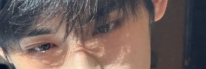 windumpling's profile banner image