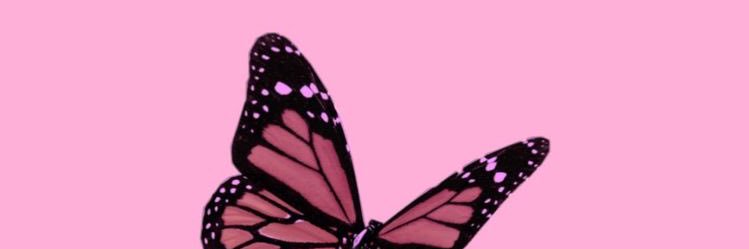 artnirhmn's profile banner image