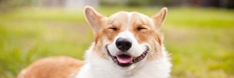 Giffmeskins's profile banner image