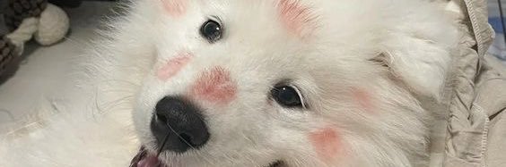 imppunn's profile banner image