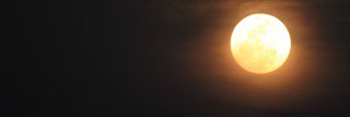 ffffffffff625's profile banner image