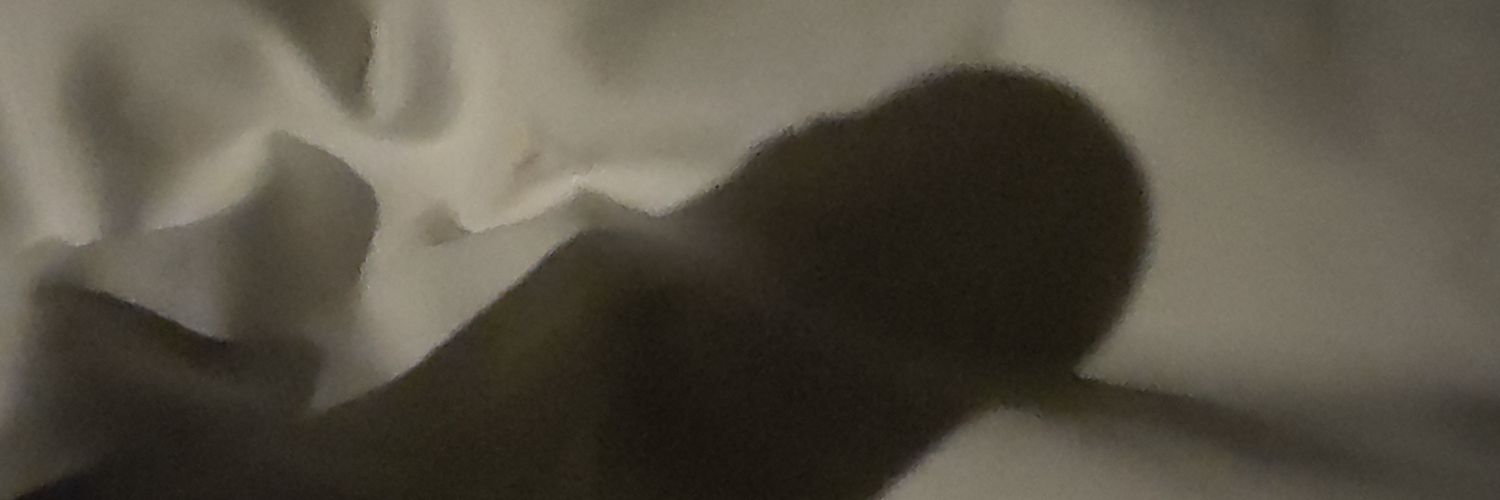 Milobigbig's profile banner image