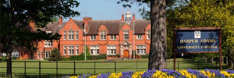 Dr Grace Milburn banner