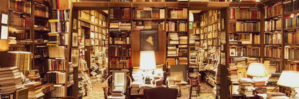 jaimecampo's profile banner image
