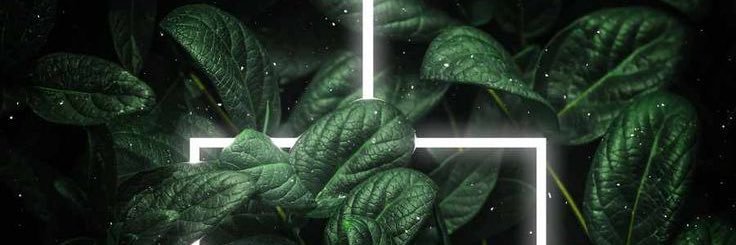 revenant14_'s profile banner image