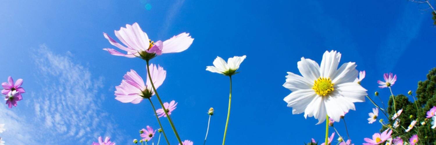 ihiro81's profile banner image