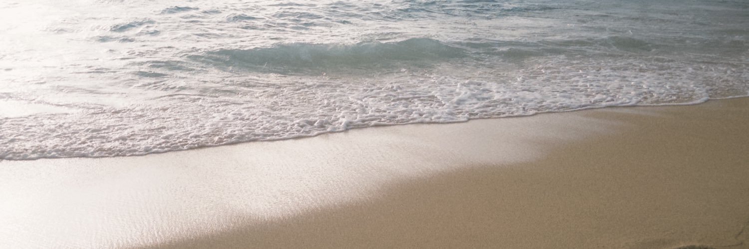 paolynee's profile banner image