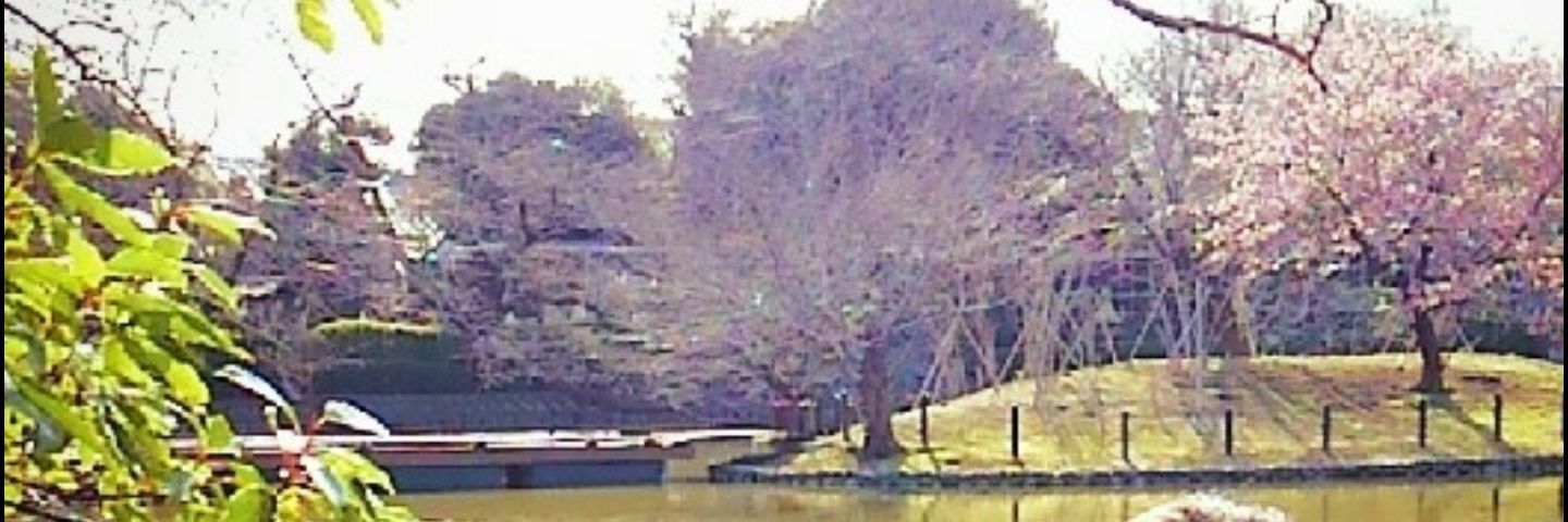 tsuchiheinnn's profile banner image