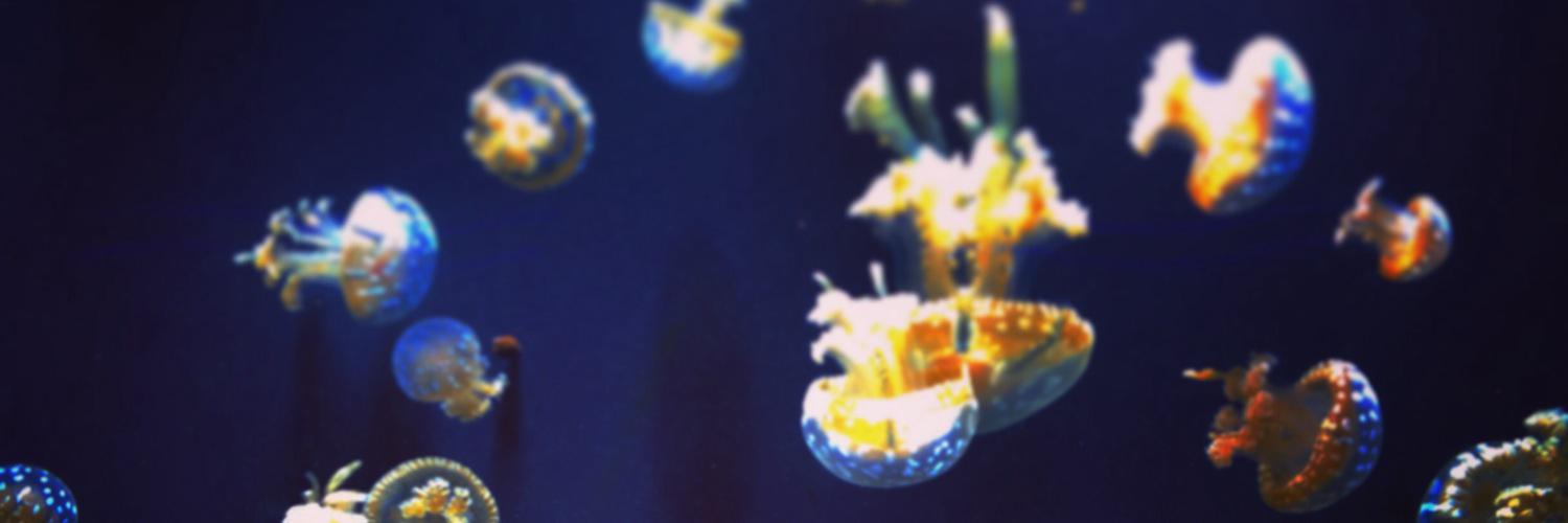 R_yee's profile banner image