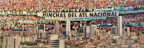 Fernanda Franco T. banner