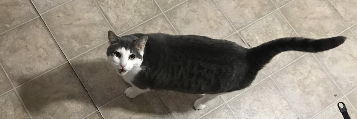 SkaKidCaleb's profile banner image
