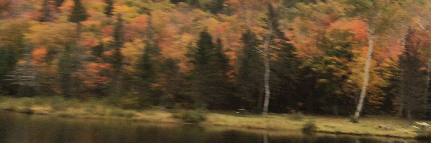 SammySatine's profile banner image