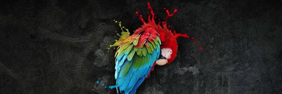 vishalkumar137's profile banner image