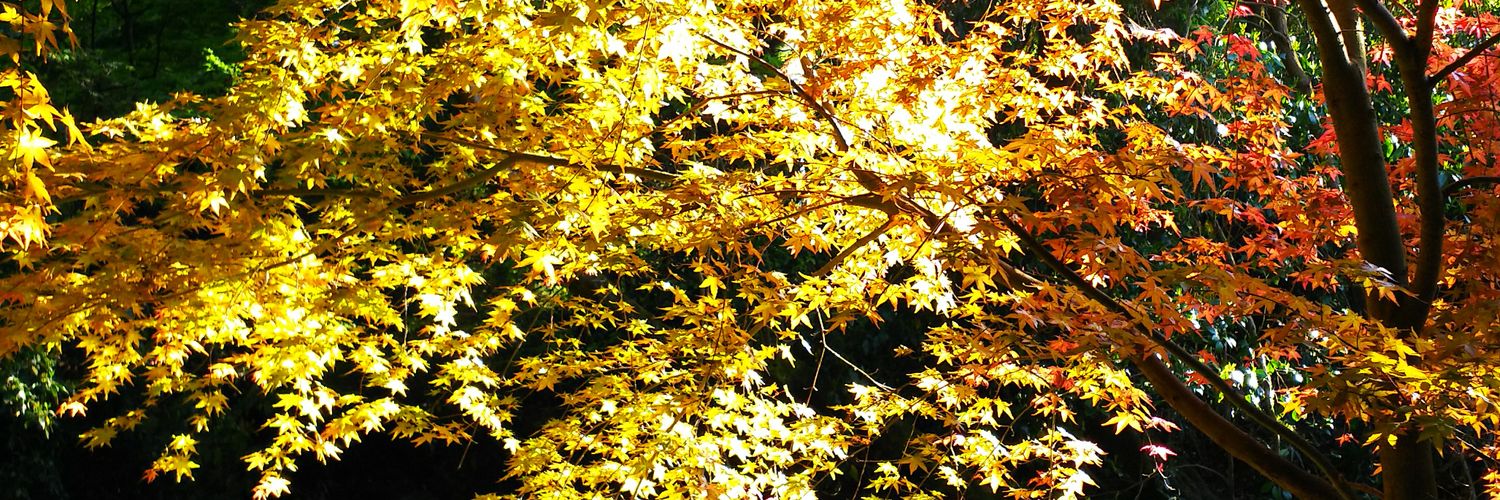 ten_white39's profile banner image