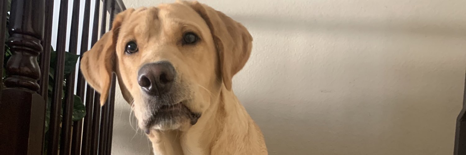 VeladorAnthony's profile banner image
